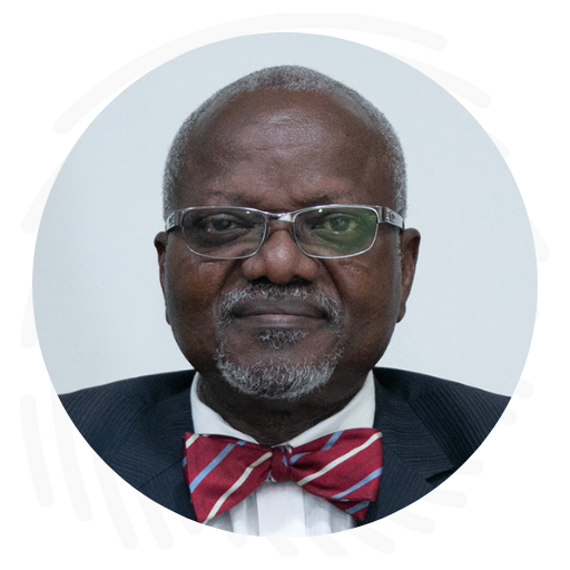 Prof. John Oladapo OBAFUNWA 